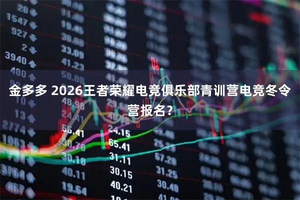 金多多 2026王者荣耀电竞俱乐部青训营电竞冬令营报名？